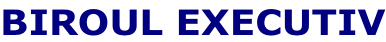 BIROUL EXECUTIV